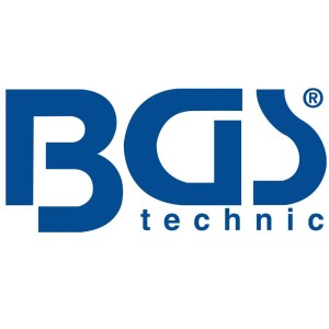 bgs1
